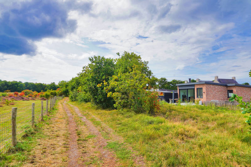 Herbst und Heide Callantsoog